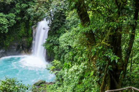 How Slowy Travel Agency Turns Costa Rica into a Living Classroom for Climate AwarenessPure Luxe in Punta Mita the original contained