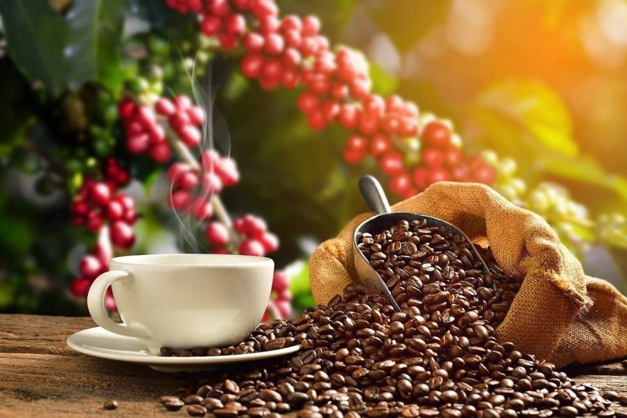 Golden Coffee Bean