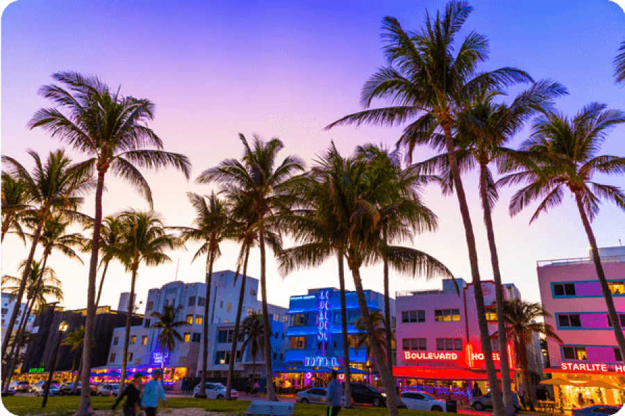 Miami Shop & Cruise Starter